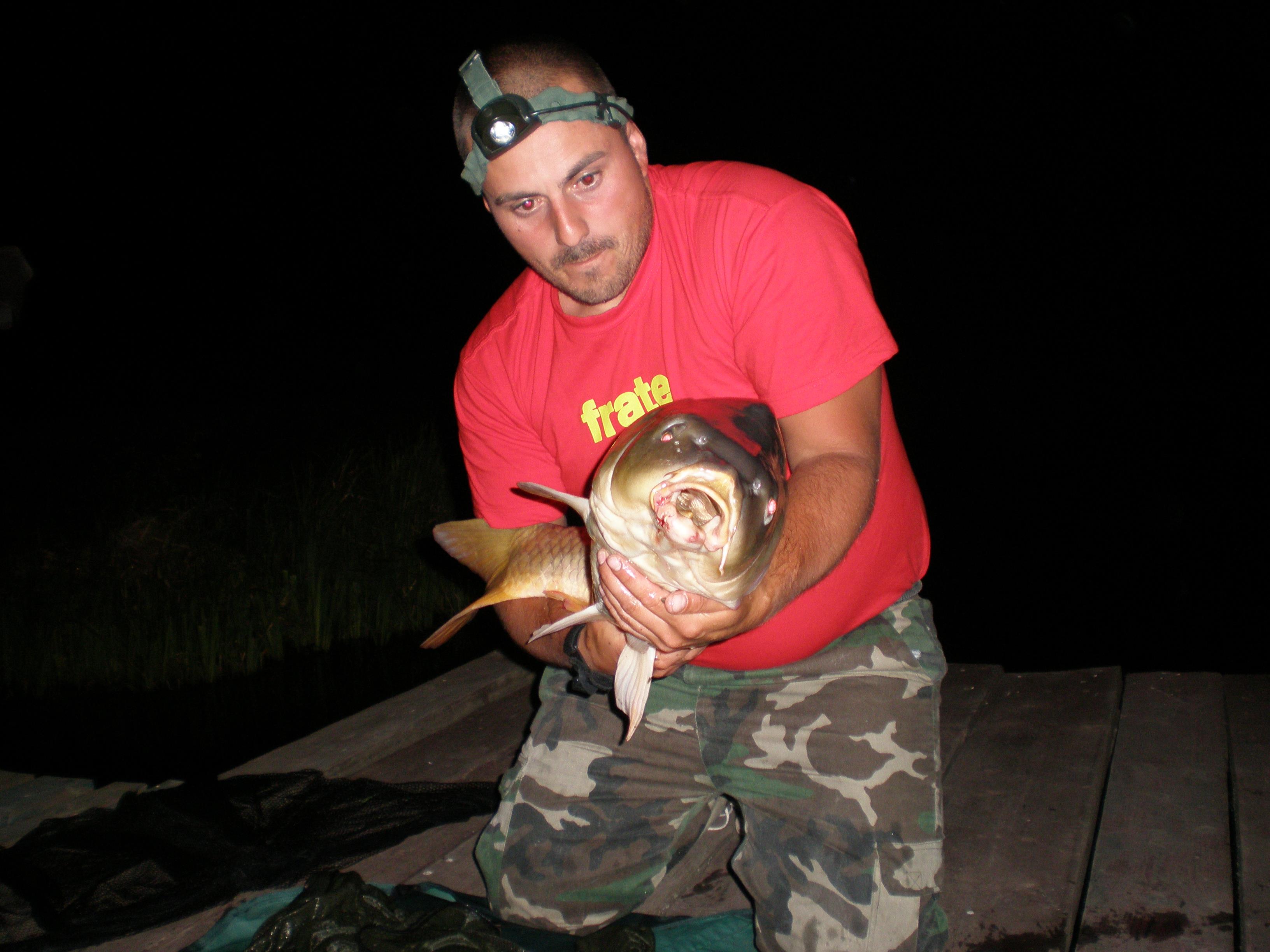 ccarp - P8200087.JPG